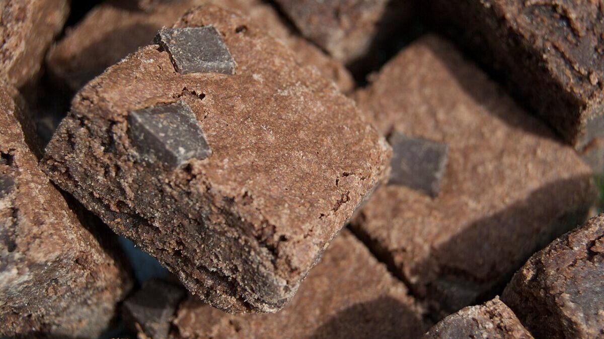 Brownies au chocolat coupés en carrés sur une plaque