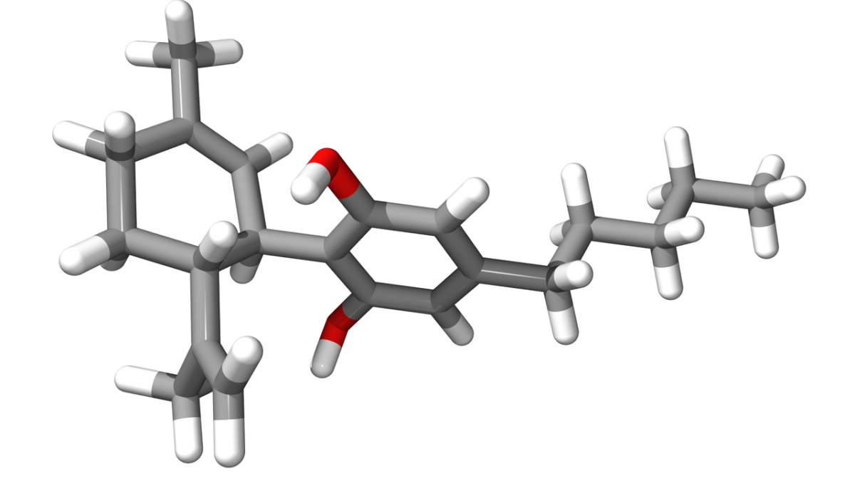 Modèle 3D de la molécule de cannabidiol, atomes en gris, rouge et blanc