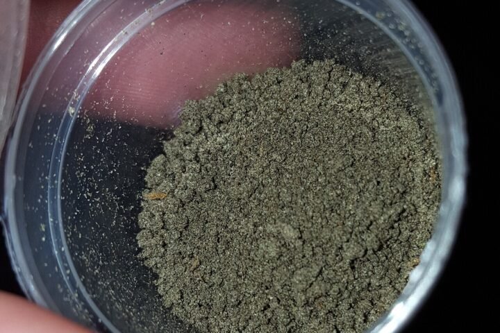 Petit pot de bubble hash de chanvre, poudre gris-vert, tenu entre deux doigts