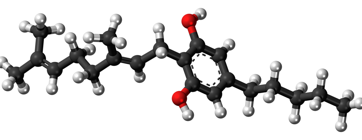 Modèle moléculaire en boules du cannabigérol, vue latérale