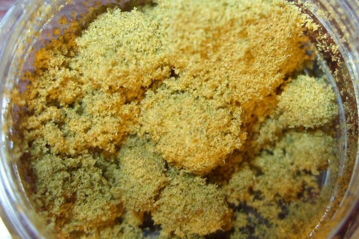 Pollen de chanvre jaune, poudre fine dans un pot en verre