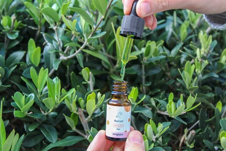 Pipette d'huile de CBD tenue au-dessus d'un flacon, feuillage en fond