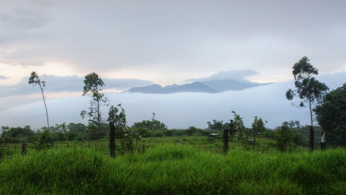 Paysage de collines verdoyantes au Costa Rica