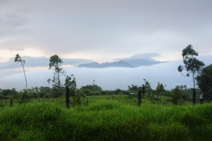 Paysage de collines verdoyantes au Costa Rica