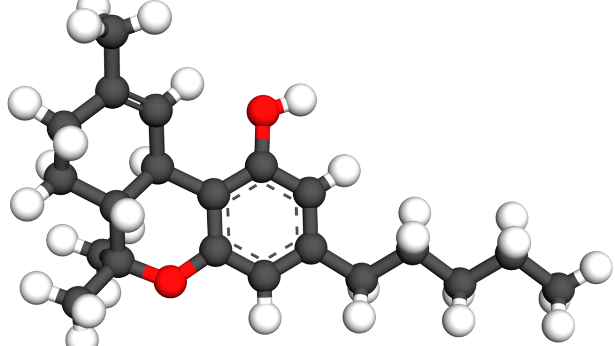 Modèle 3D en boules et bâtonnets de la molécule de THC