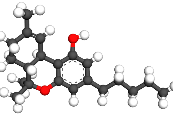Modèle 3D en boules et bâtonnets de la molécule de THC